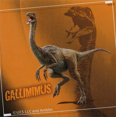 No.10　GALLIMIMUS ガリミムス　表