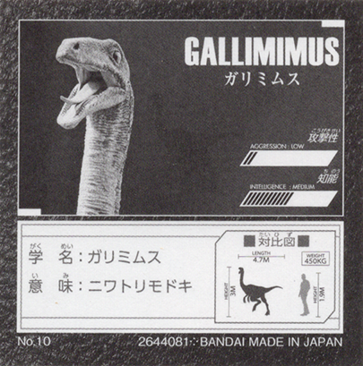 No.10　GALLIMIMUS ガリミムス　裏